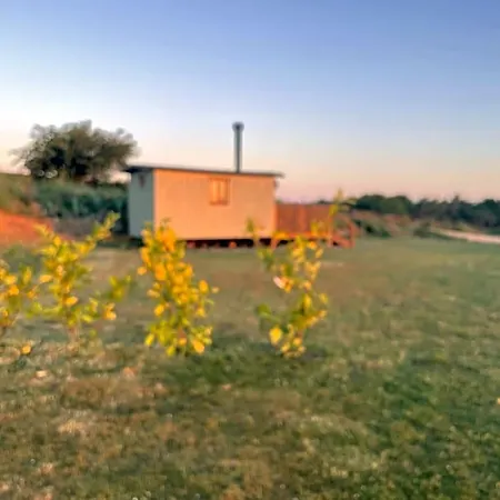 Oakley View Shepherds Hut With Hot Tub Hotel Whitby